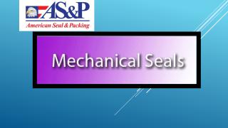 Mechanical Seal.pptx