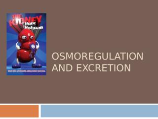 osmoregulation-and-excretion.ppt