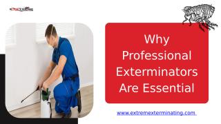 Why Professional Exterminators Are Essential - Extreme Xterminating Pest Control