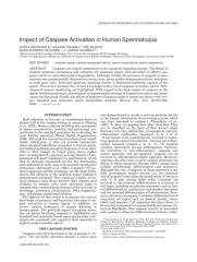 2009- Impact of caspase activation in human spermatozoa.pdf